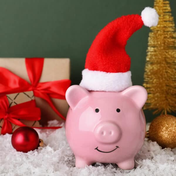 Piggy Bank Christmas Savings Lake Central Bank